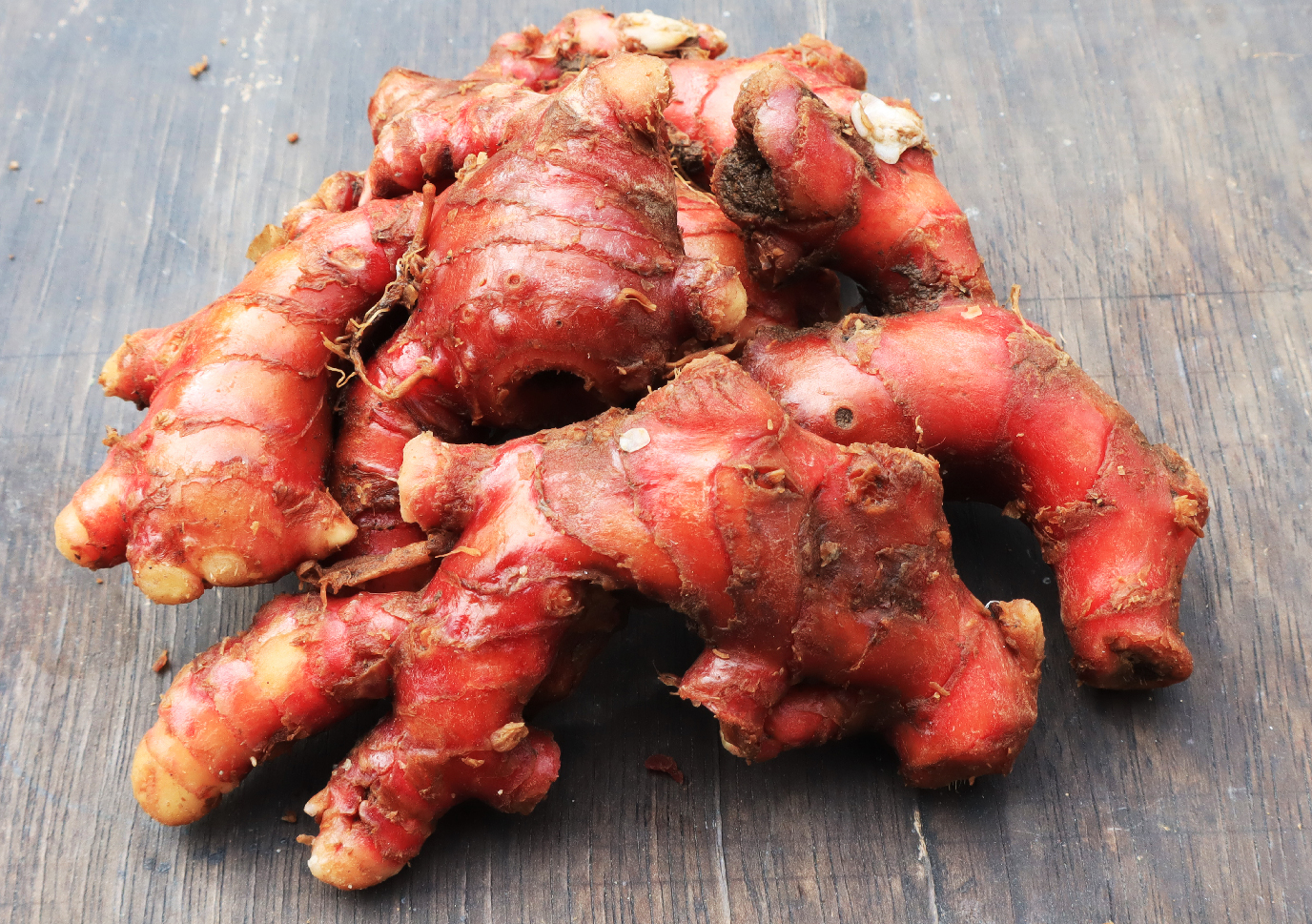 Jahe merah (Zingiber officinale var. Rubrum.)